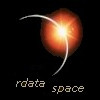 rdataspace logo