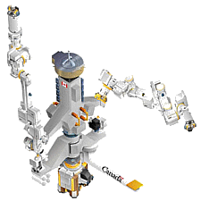 Special Purpose Dextrous Manipulator