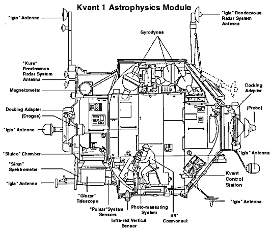 Kvant-1 Cross Section